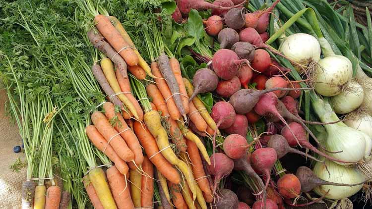vegetables closeup